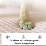 Divanetto Fresco Relax™️🐶😺cuccia in seta di ghiaccio